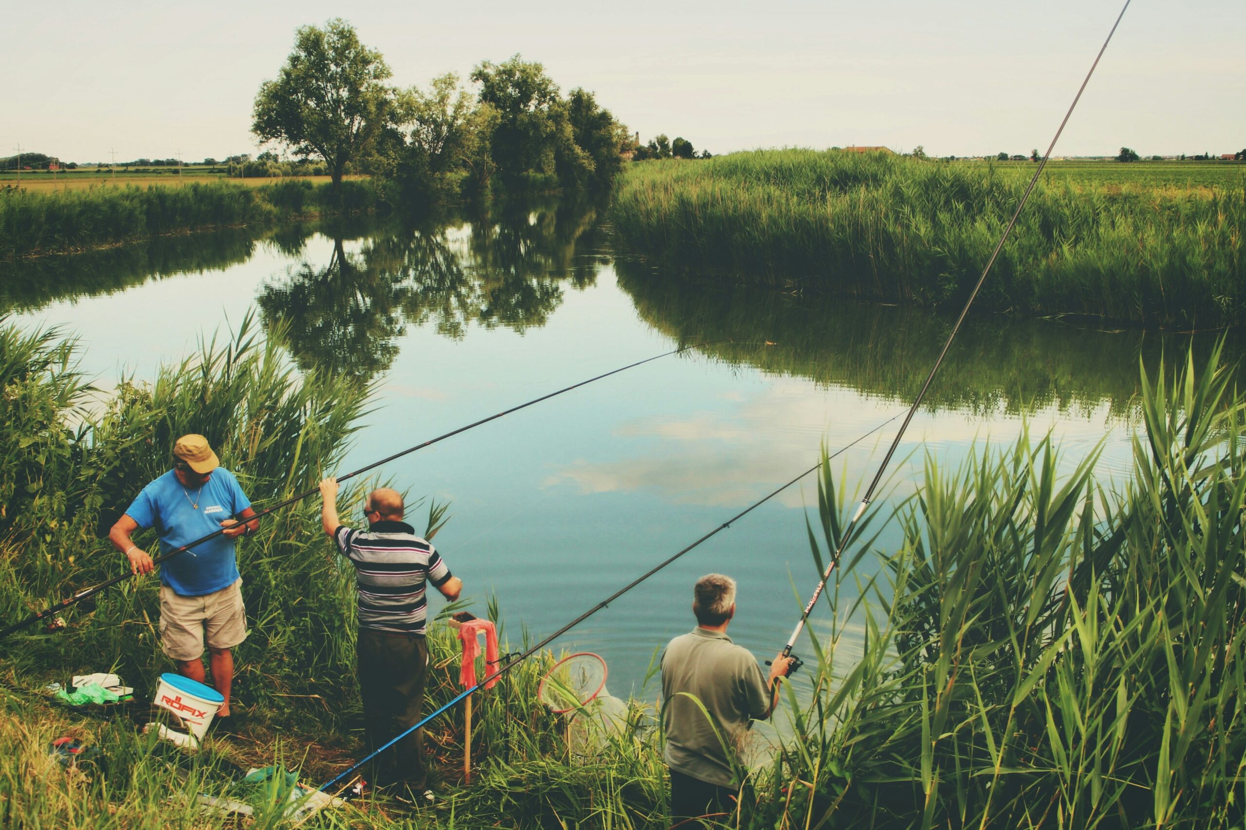 Drei Angler stehen im Schilf an einer Flussbiegung und werfen ihre Ruten aus.
